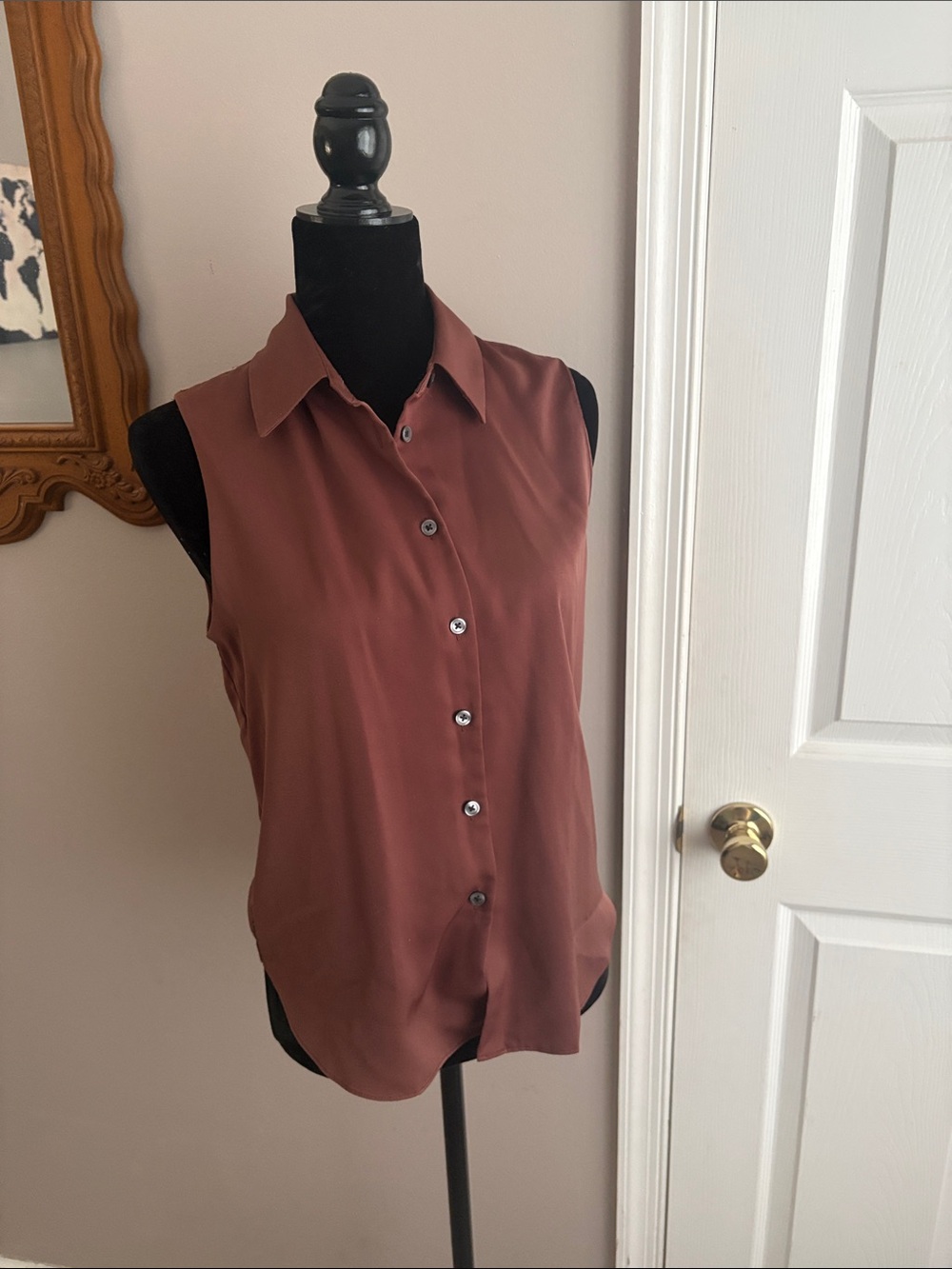 Banana Republic Sleeveless Button-Front Blouse in Terracotta - Picture 6 of 6